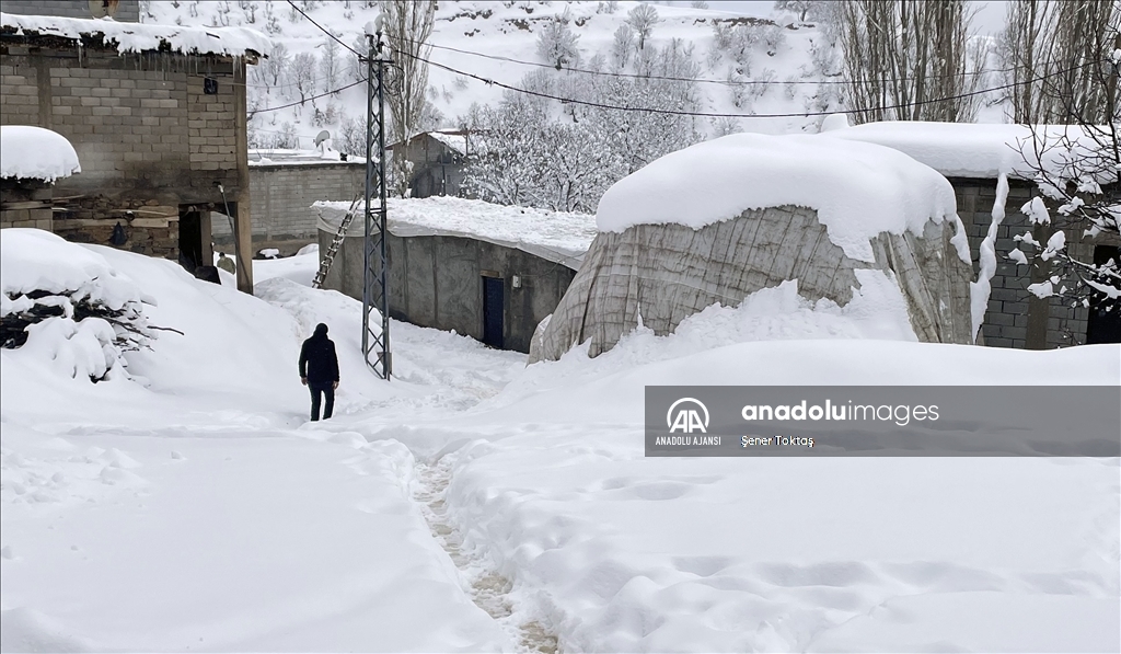 Bitlis&#39;te kar yağışı yaşamı olumsuz etkiledi