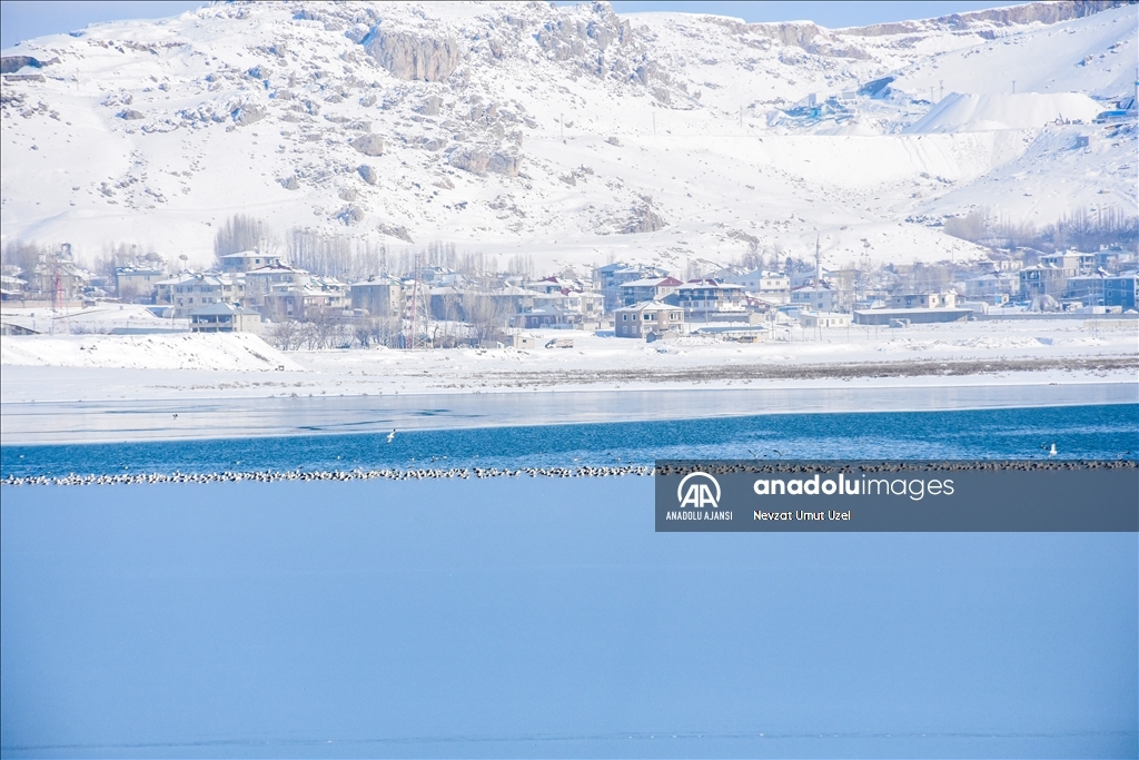 Van'daki Sıhke Gölü'nün yüzeyi buz tuttu