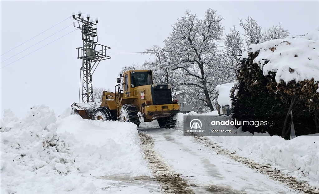 Bitlis&#39;te kar yağışı yaşamı olumsuz etkiledi