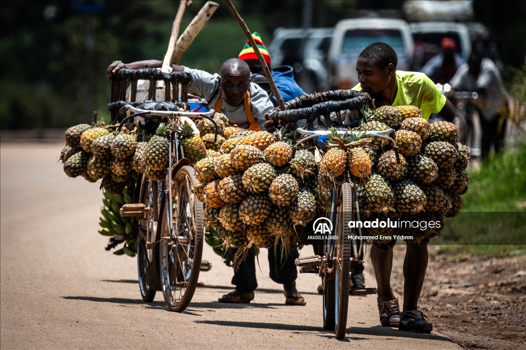 ''Afrika'nın Kalbi'' Uganda'nın renkli kültürüne yolculuk