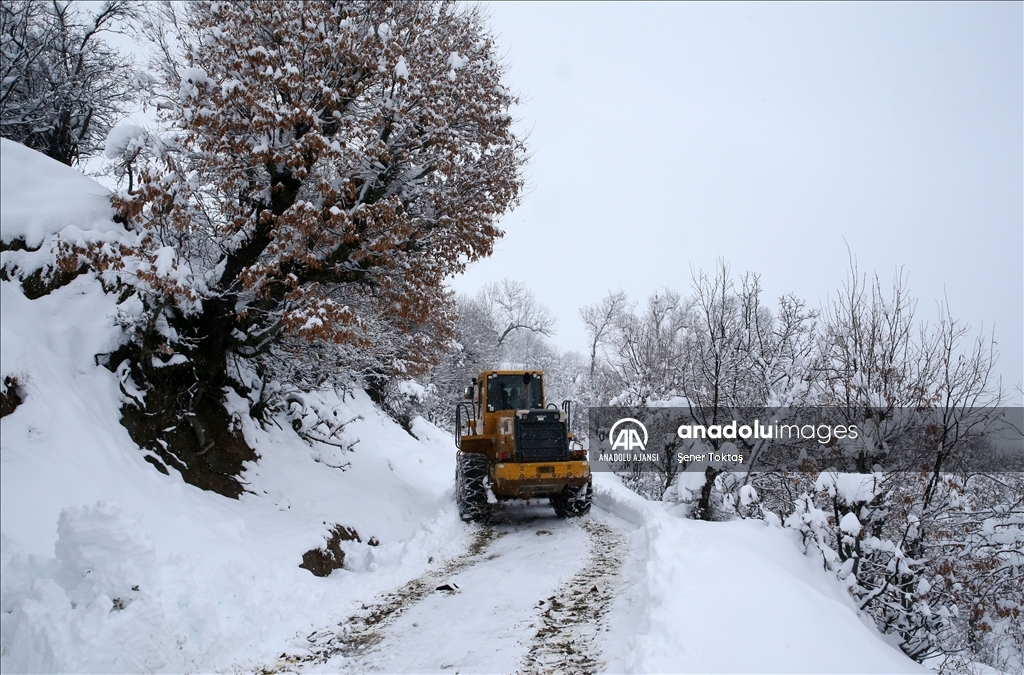 Bitlis&#39;te karla m&#252;cadele ekipleri k&#246;y yollarını a&#231;mak i&#231;in mesai yapıyor