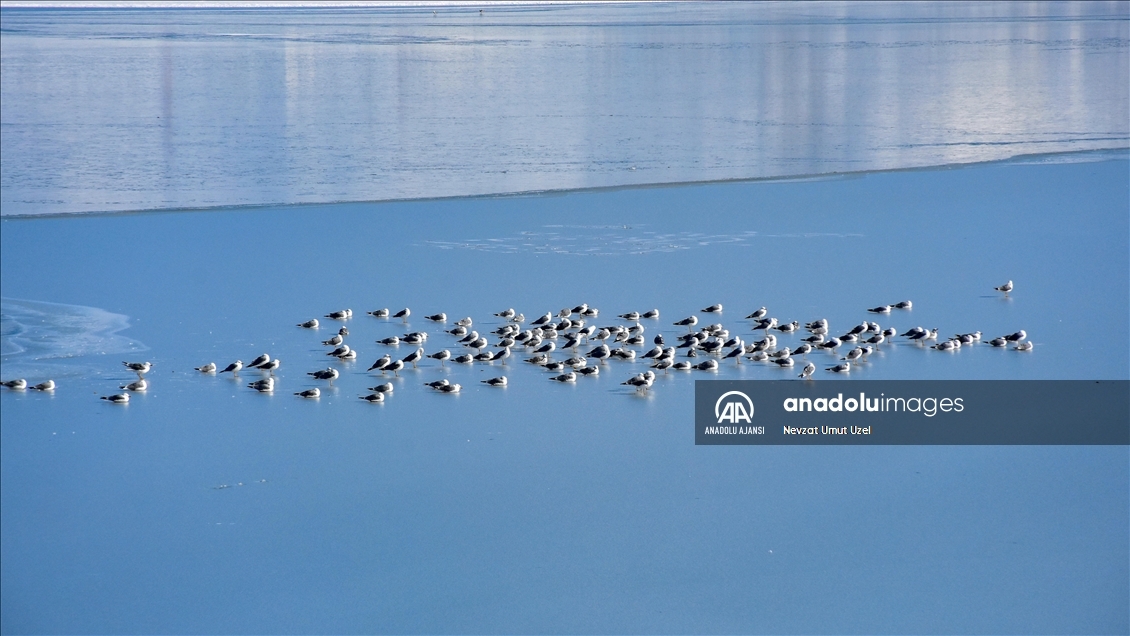 Van'daki Sıhke Gölü'nün yüzeyi buz tuttu