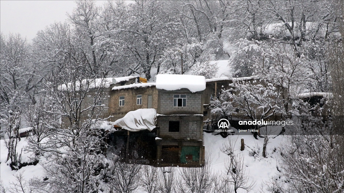 Bitlis&#39;te kar yağışı yaşamı olumsuz etkiledi