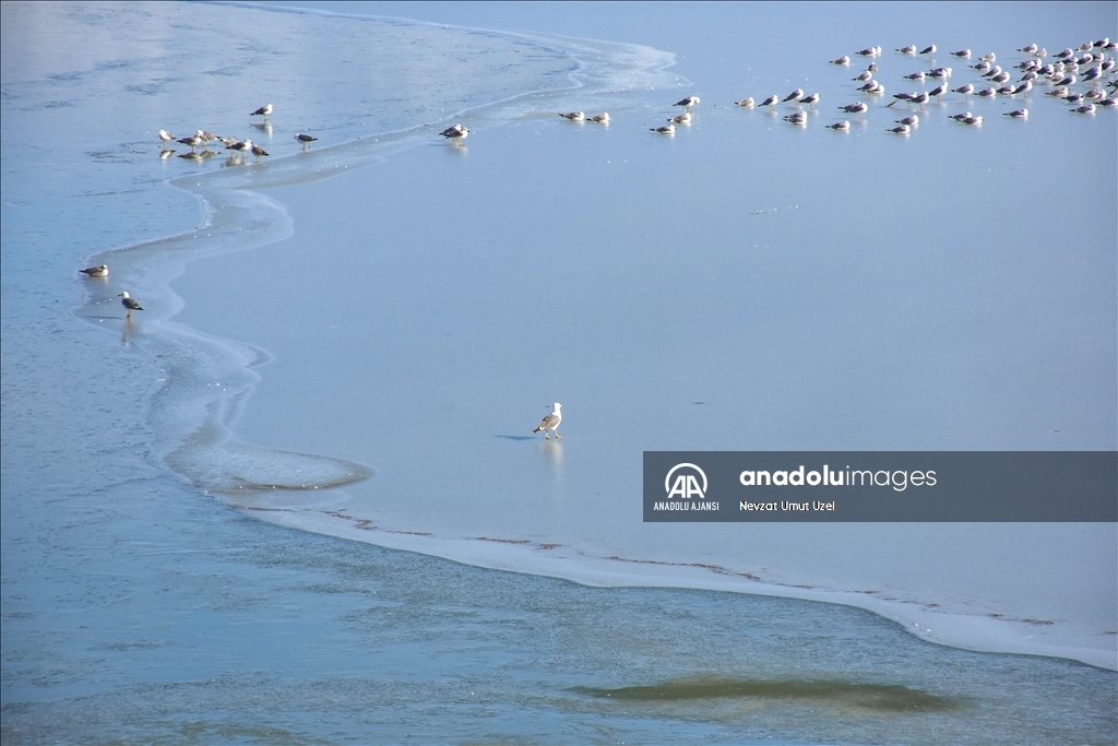 Van'daki Sıhke Gölü'nün yüzeyi buz tuttu