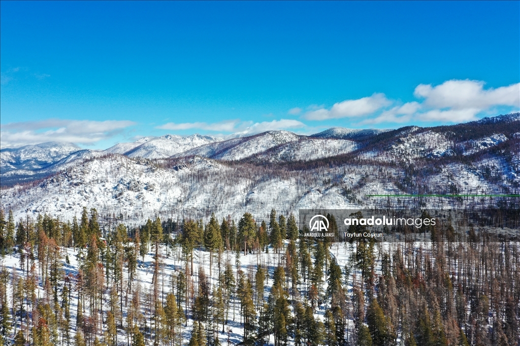 Kaliforniya eyaletinin South Lake Tahoe kentinde kış