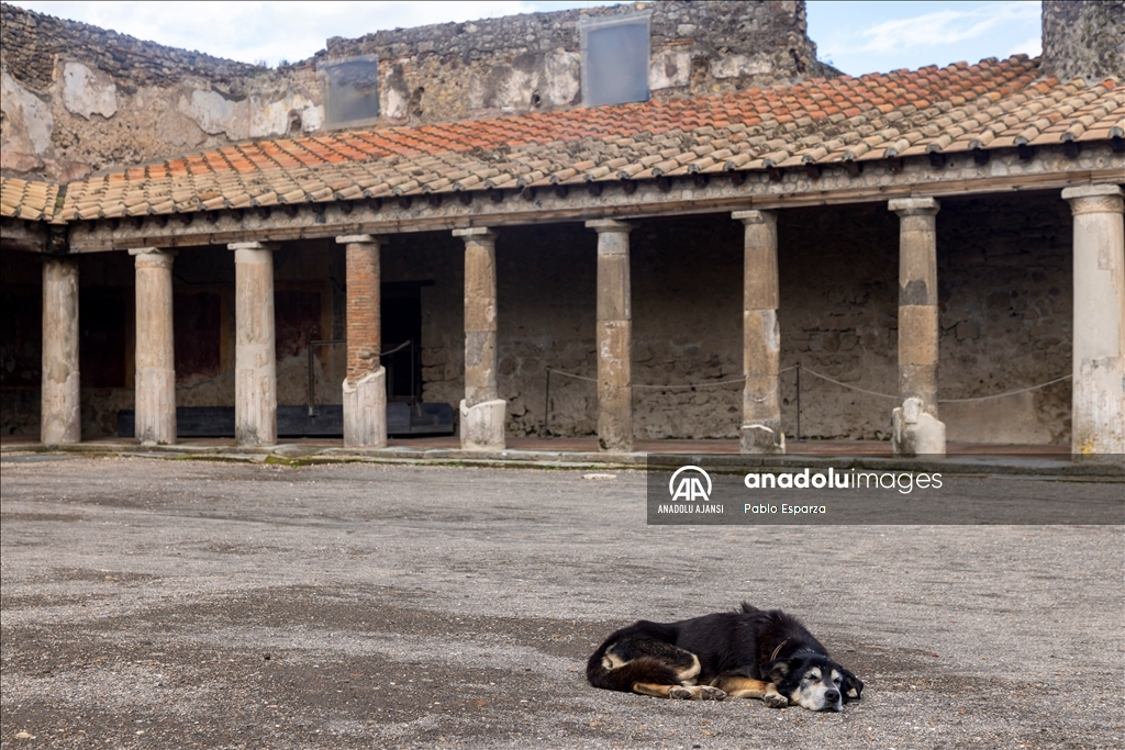 Antik Roma Kenti Pompeii'deki kazılar yeni keşifler sunuyor
