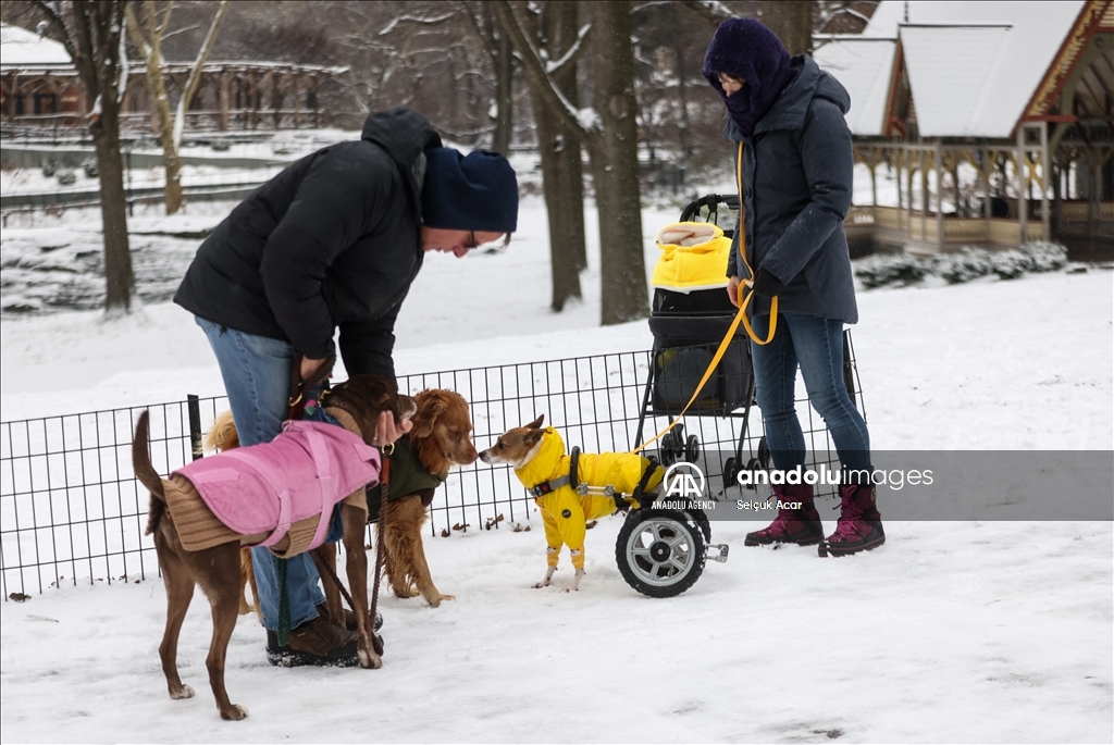 New York City receives heaviest snowfall in two years