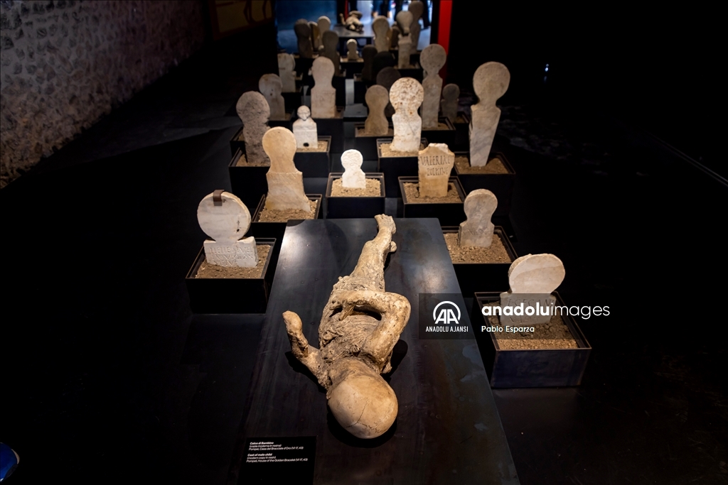 Antik Roma Kenti Pompeii'deki kazılar yeni keşifler sunuyor
