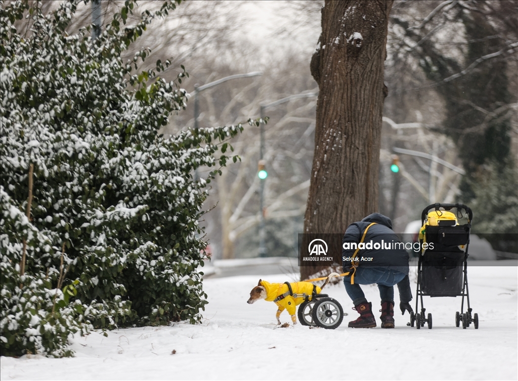 New York City receives heaviest snowfall in two years