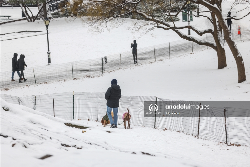 New York City receives heaviest snowfall in two years