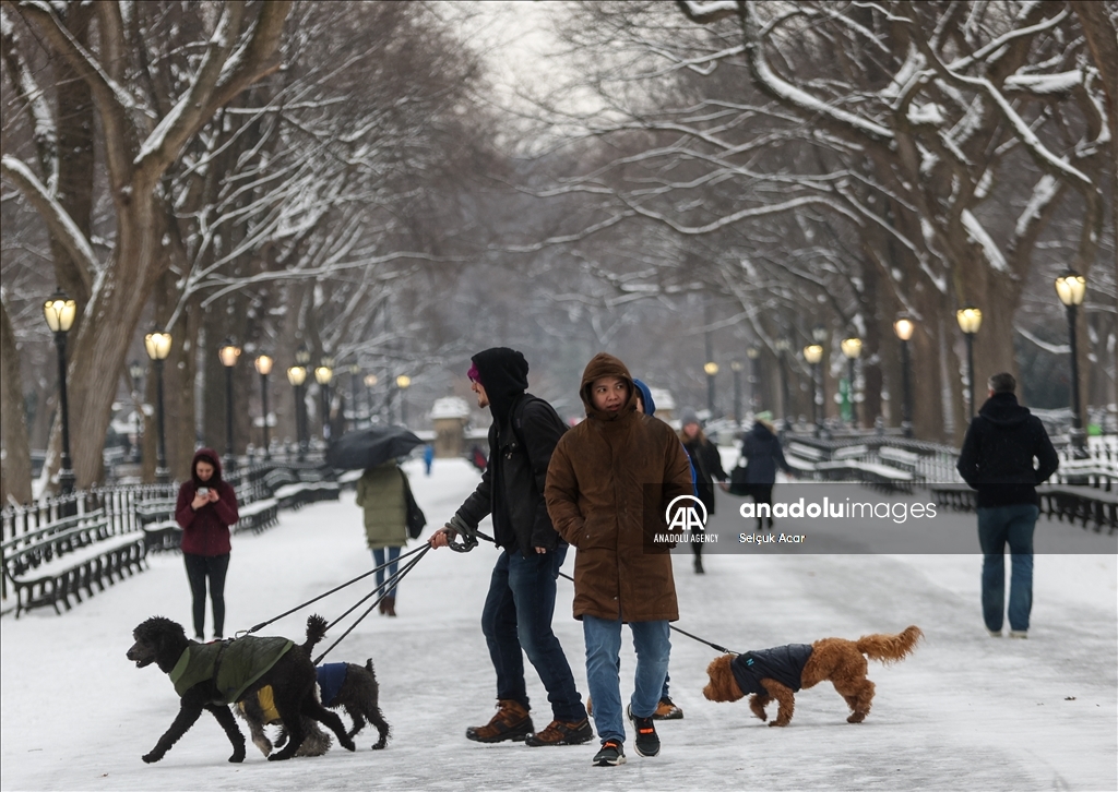 New York City receives heaviest snowfall in two years