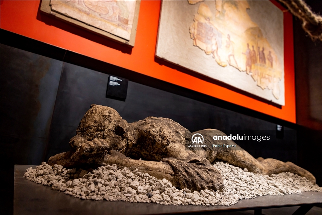 Antik Roma Kenti Pompeii'deki kazılar yeni keşifler sunuyor