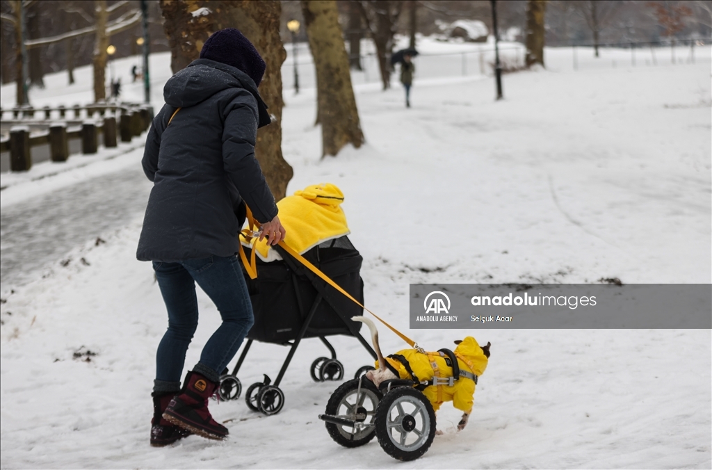 New York City receives heaviest snowfall in two years