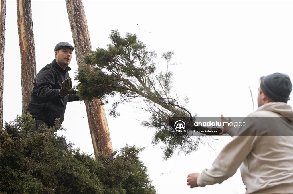 İspanya'nın Morella kentinde geleneksel Sant Antoni Festivali hazırlıkları
