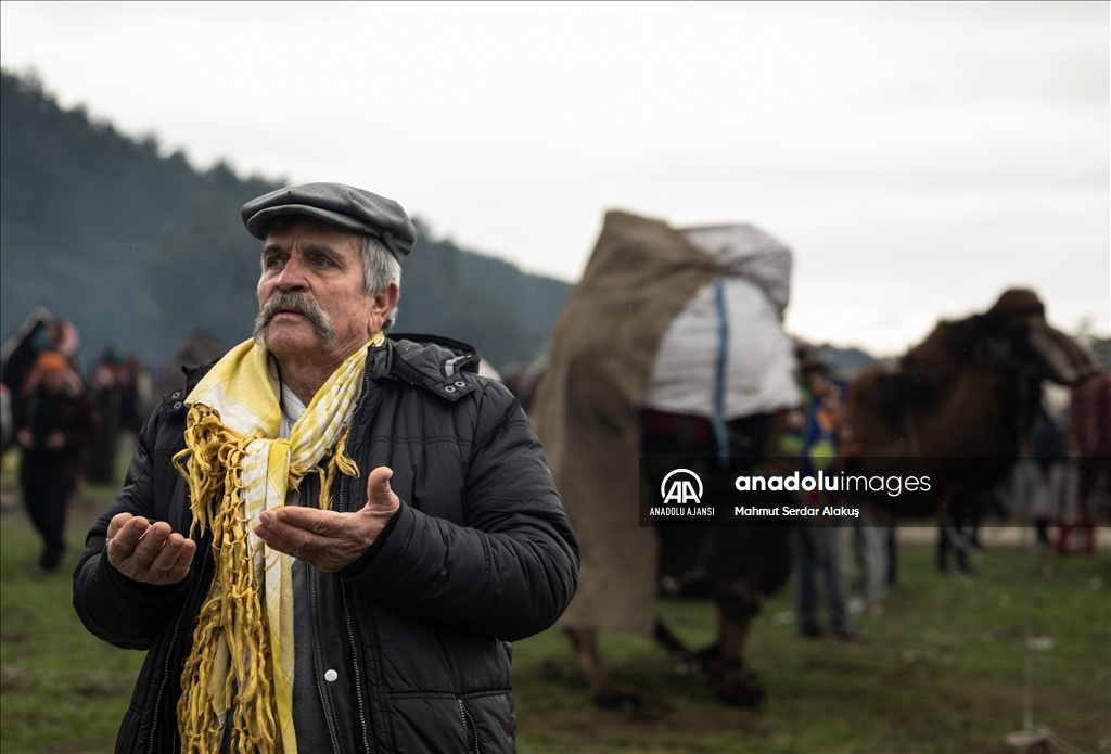 42. Efes Selçuk Deve Güreşleri Festivali yapıldı