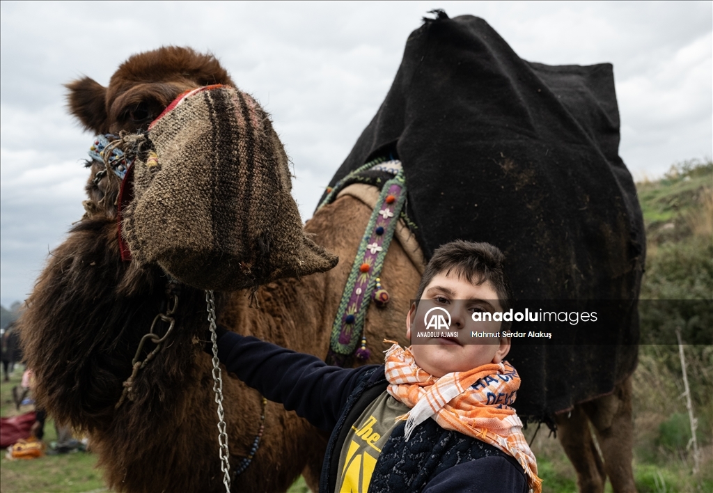 42. Efes Selçuk Deve Güreşleri Festivali yapıldı