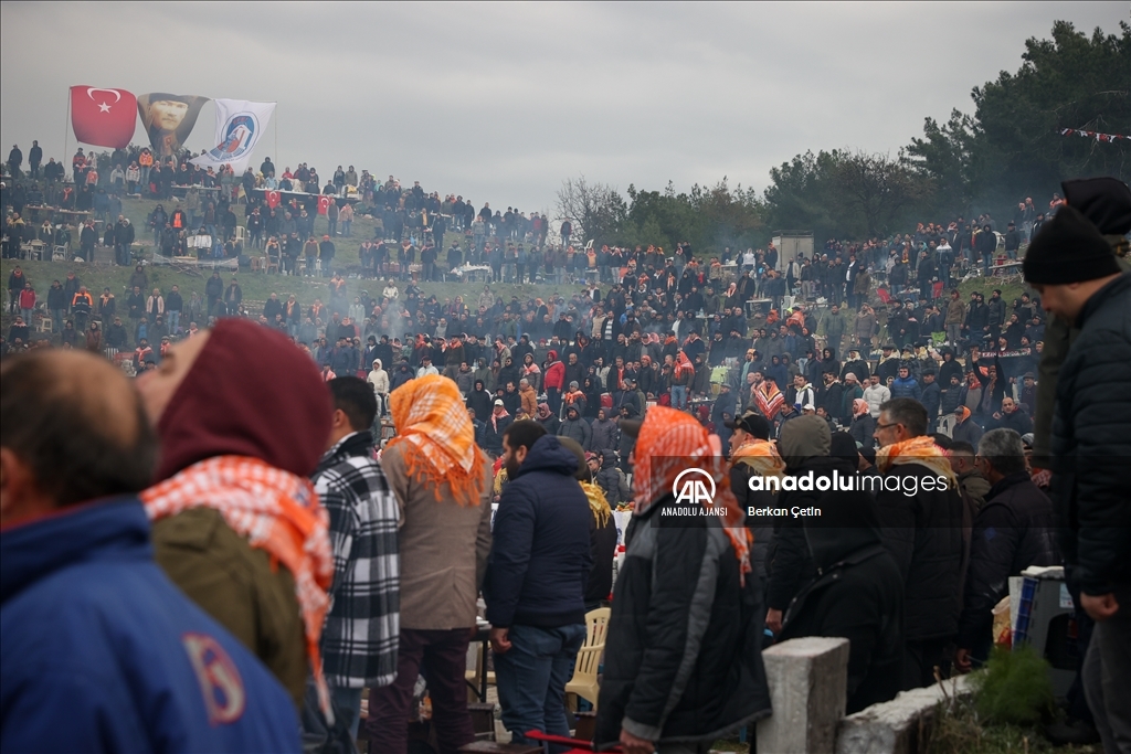 42. Efes Selçuk Deve Güreşleri Festivali yapıldı