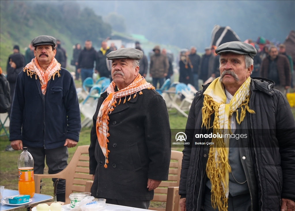 42. Efes Selçuk Deve Güreşleri Festivali yapıldı