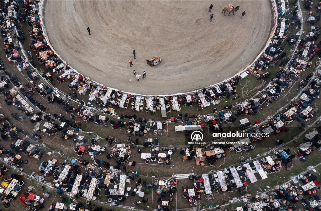 42. Efes Selçuk Deve Güreşleri Festivali yapıldı
