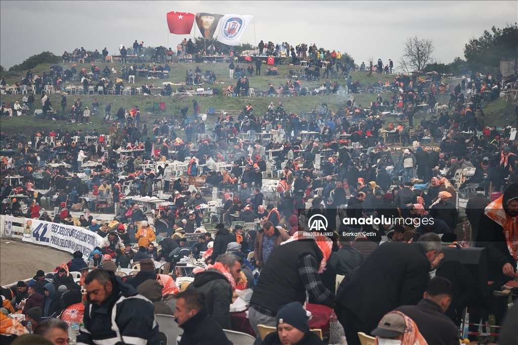 42. Efes Selçuk Deve Güreşleri Festivali yapıldı