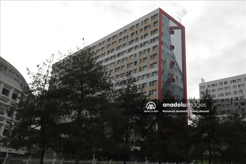Dünyaca ünlü grafiti sanatçısından yanılsama tekniğiyle çizilen duvar resmi