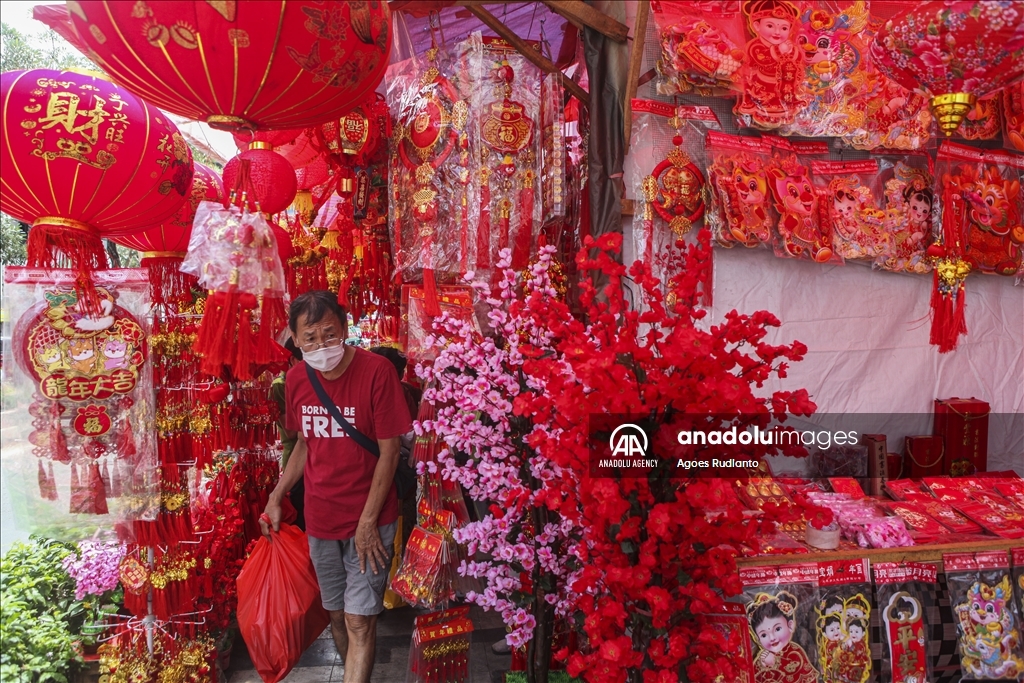 chinese new year preparation for 2025