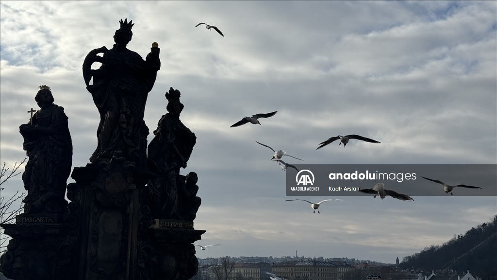 Sculptures of the "Golden City" Prague