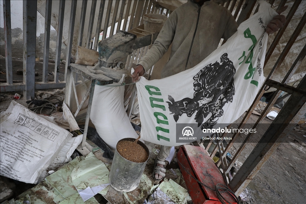 Palestinians forced to grind animal fodder to make bread due to wheat flour shortage