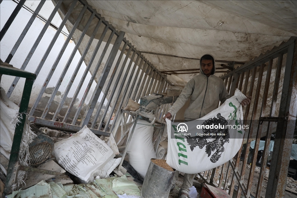 Palestinians forced to grind animal fodder to make bread due to wheat flour shortage