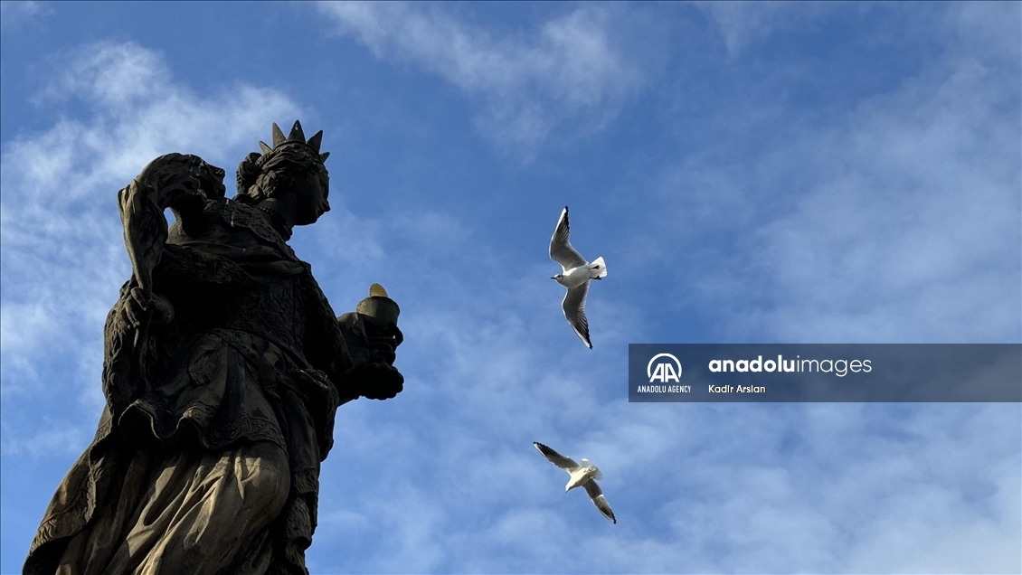 Sculptures of the "Golden City" Prague