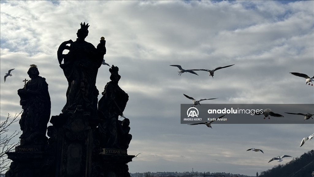 Sculptures of the "Golden City" Prague