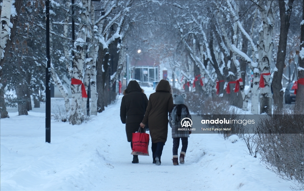 Erzurum'da dondurucu soğuklar hâkim