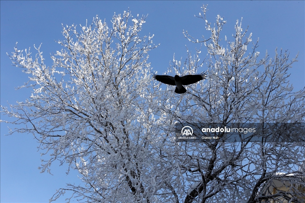 Ardahan'da termometreler gece sıfırın altında 25 dereceyi gösterdi