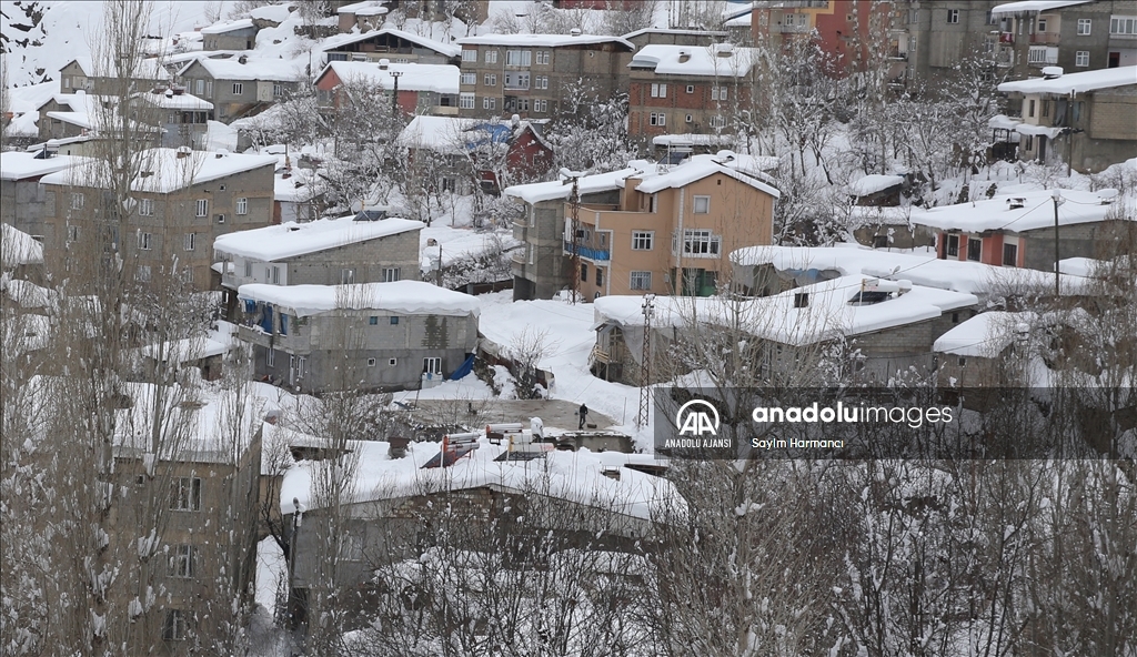 Hakkari'nin köylerinde tek katlı evler ve ahırlar karla kaplandı