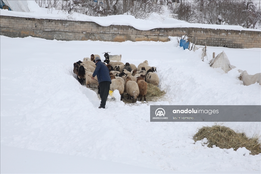 Hakkari'nin köylerinde tek katlı evler ve ahırlar karla kaplandı