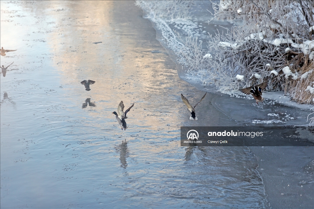 Kars'ta soğuk hava etkili oldu