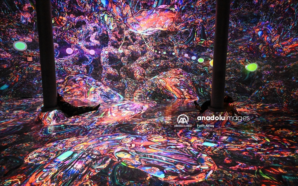 New York'taki Artechose Galerisi'nde dijital sanat sergisi açıldı