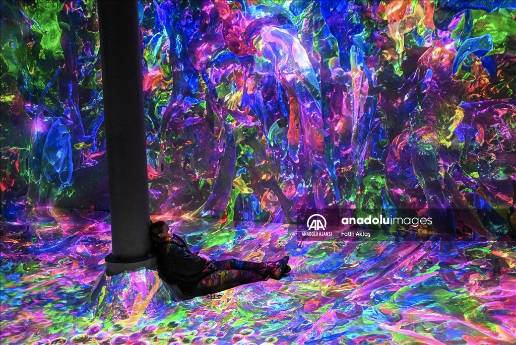 New York'taki Artechose Galerisi'nde dijital sanat sergisi açıldı