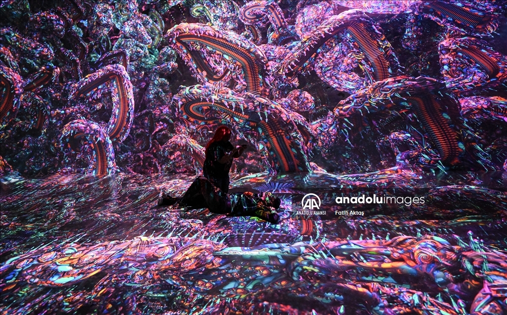 New York'taki Artechose Galerisi'nde dijital sanat sergisi açıldı
