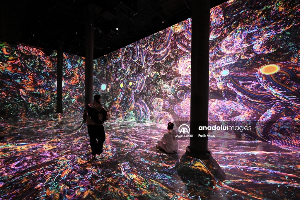 New York'taki Artechose Galerisi'nde dijital sanat sergisi açıldı