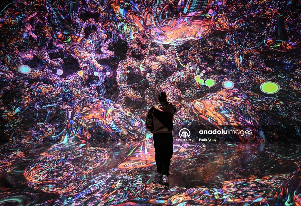 New York'taki Artechose Galerisi'nde dijital sanat sergisi açıldı