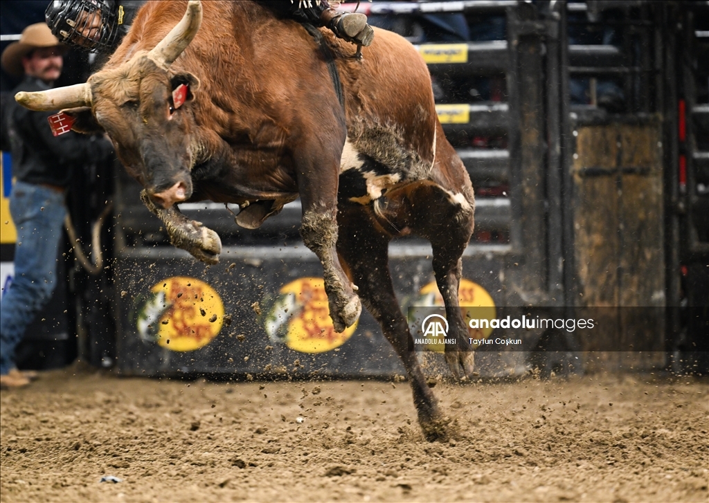 Sacramento'da rodeo heyecanı Anadolu Ajansı