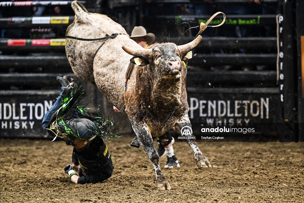 Sacramento'da rodeo heyecanı Anadolu Ajansı