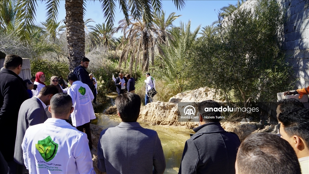 Libya'nın Zliten kentinde yükselen yer altı suları bölgede maddi hasara neden oldu