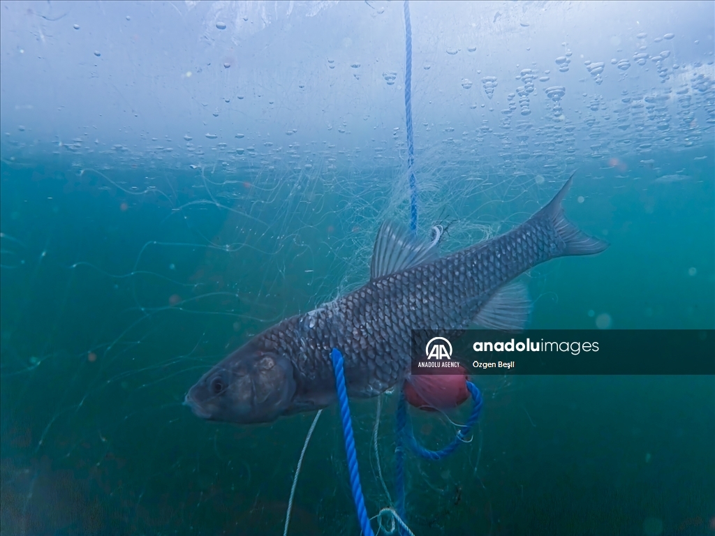 الشرق التركي.. صيد السمك على "طريقة الإسكيمو"