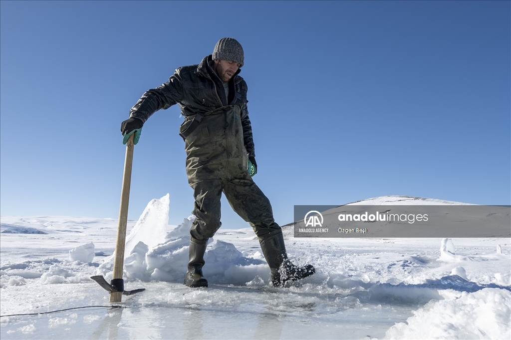 الشرق التركي.. صيد السمك على "طريقة الإسكيمو"