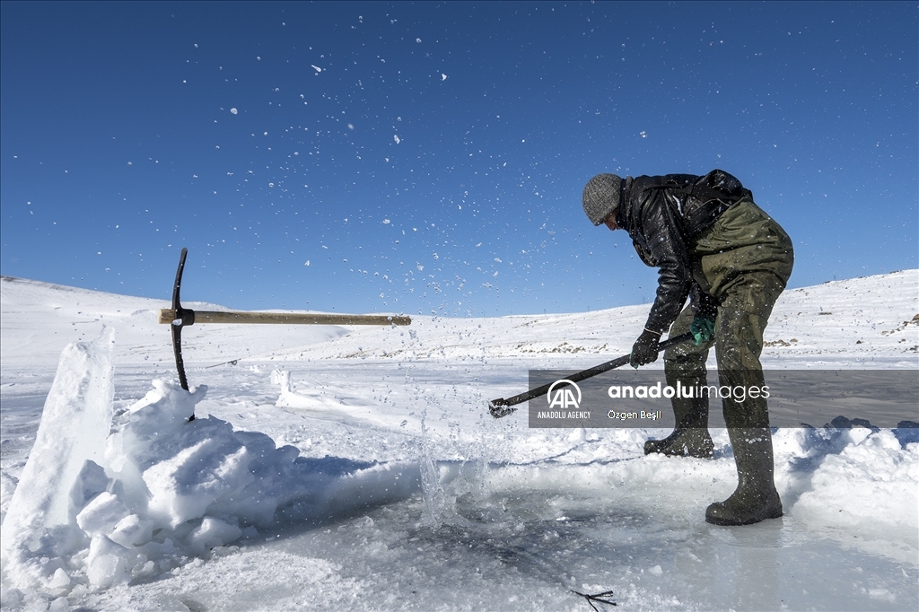 الشرق التركي.. صيد السمك على "طريقة الإسكيمو"