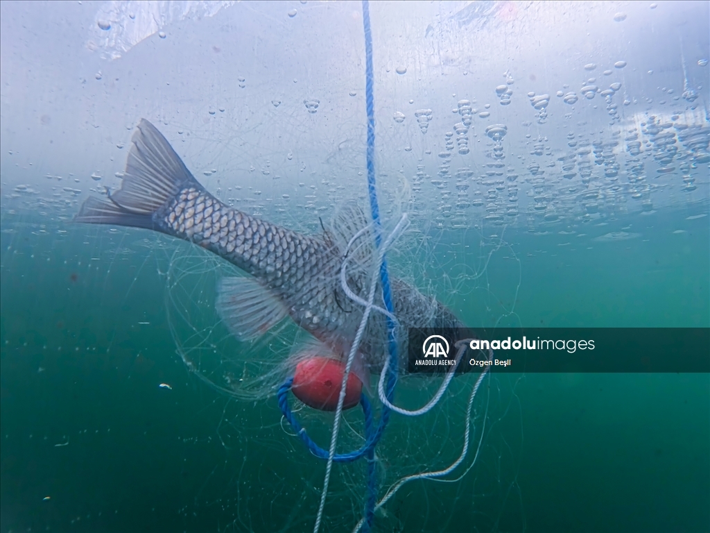 الشرق التركي.. صيد السمك على "طريقة الإسكيمو"