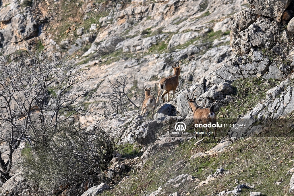 Adıyaman'ın doğal güzellikleri