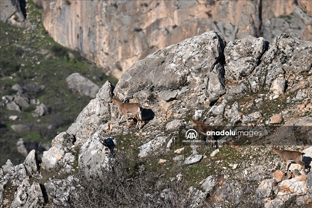 Adıyaman'ın doğal güzellikleri